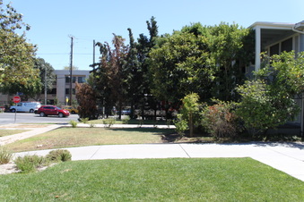 Enlarge photo 42