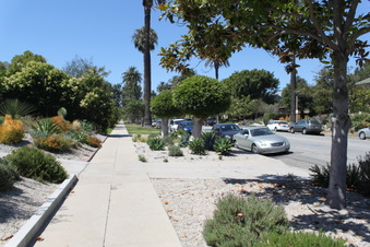 Enlarge photo 43
