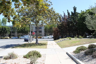 Enlarge photo 45