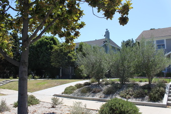 Enlarge photo 44