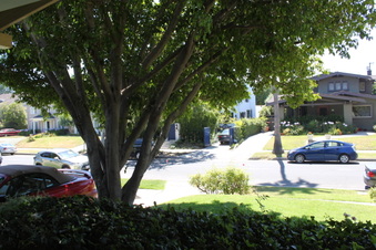 Enlarge photo 28