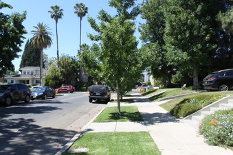 Enlarge photo 32