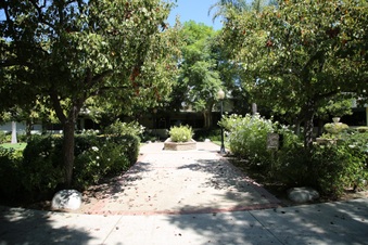 Enlarge photo 90