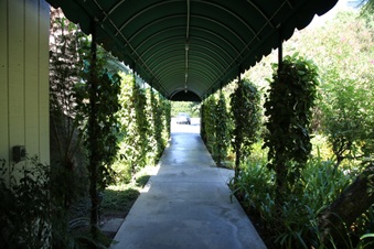 Enlarge photo 111
