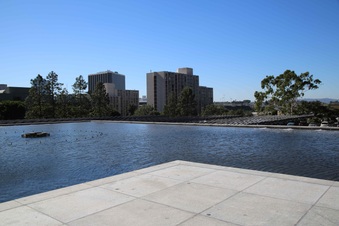 Enlarge photo 35