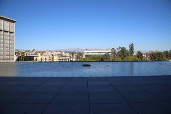 Enlarge photo 62