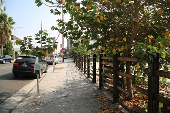 Enlarge photo 6