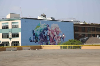 Enlarge photo 60