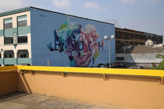 Enlarge photo 64