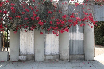 Enlarge photo 93