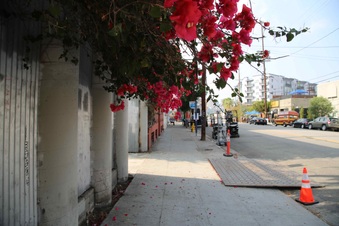 Enlarge photo 117