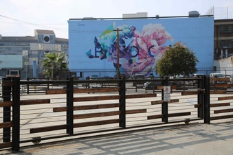 Enlarge photo 127