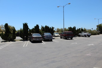 Enlarge photo 75