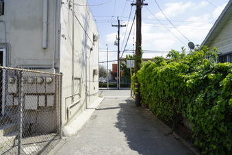 Enlarge photo 24