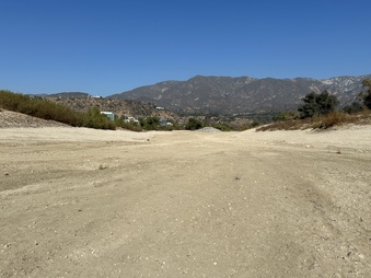 Wasteland