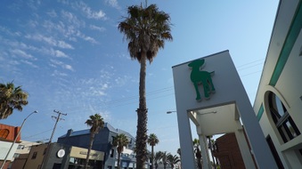 Enlarge photo 27