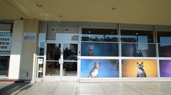 Enlarge photo 4
