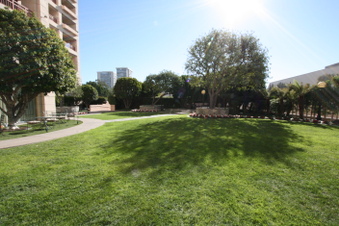 Enlarge photo 42