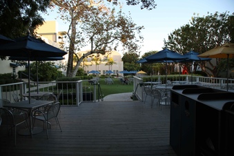 Enlarge photo 24