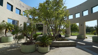 Enlarge photo 39