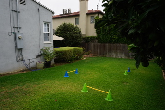Enlarge photo 34