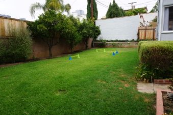 Enlarge photo 32