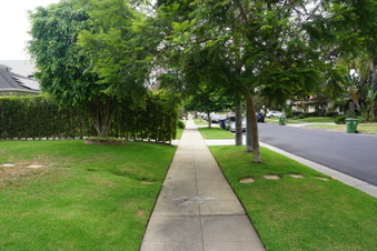 Enlarge photo 13