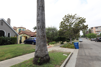 Enlarge photo 8