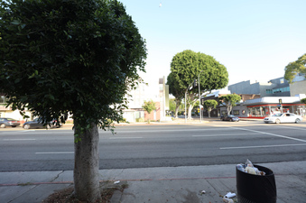Enlarge photo 7