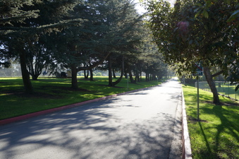 Enlarge photo 63