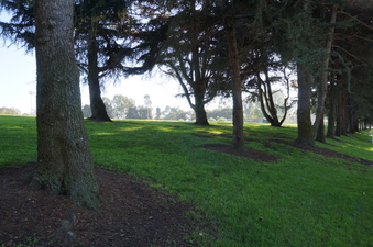 Enlarge photo 65
