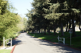 Enlarge photo 66