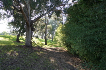 Enlarge photo 69