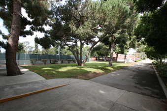 Enlarge photo 38