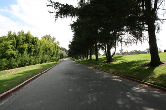Enlarge photo 58