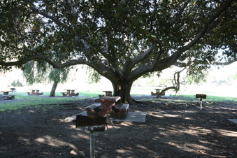 Enlarge photo 80