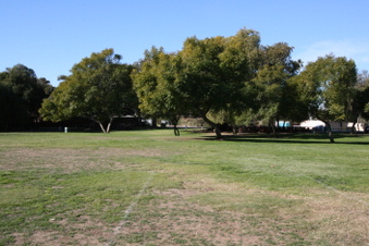 Enlarge photo 77