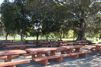 Enlarge photo 82