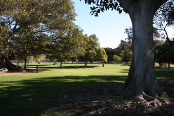 Enlarge photo 84