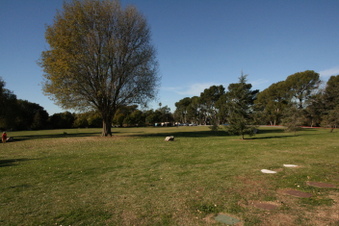Enlarge photo 75