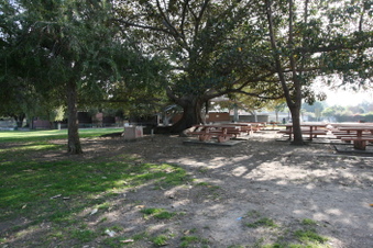Enlarge photo 92