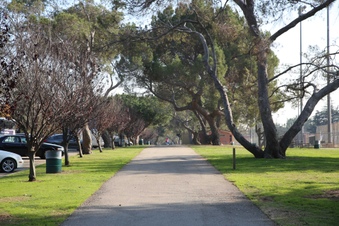 Enlarge photo 98