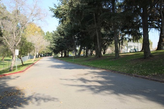 Enlarge photo 102
