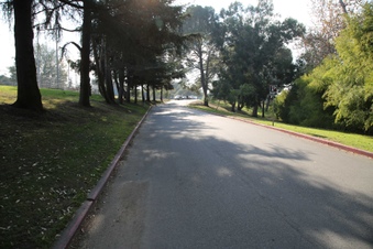 Enlarge photo 105