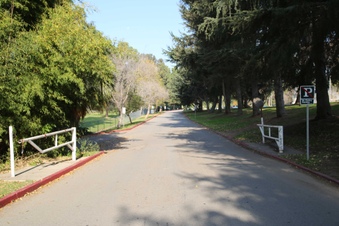 Enlarge photo 104