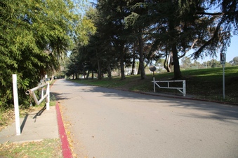 Enlarge photo 108