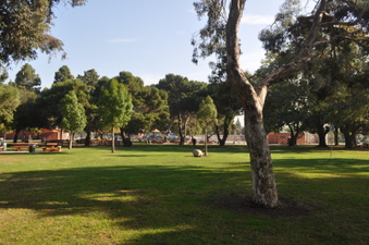 Mar Vista Rec