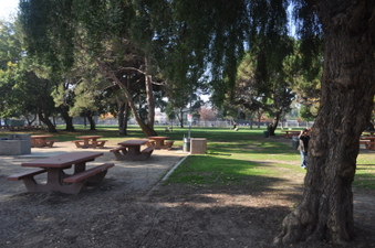 Enlarge photo 29