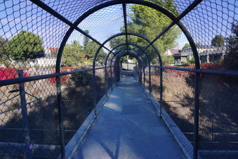 Enlarge photo 27