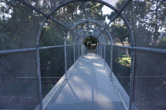 Enlarge photo 31